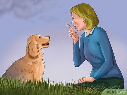 Câinele care vorbește