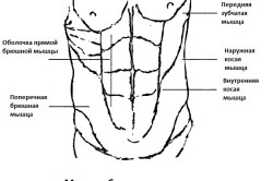 Cum de a construi musculare la domiciliu