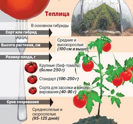 Cum să crească răsaduri puternice