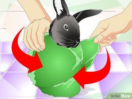 Cum să taie iepure