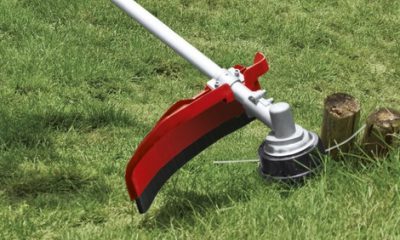 Cum de a alege o mașină de tuns benzină pentru prețurile de iarbă și recenzii