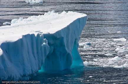 Cum de a trăi pe Antarctica