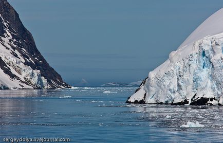 Cum de a trăi pe Antarctica