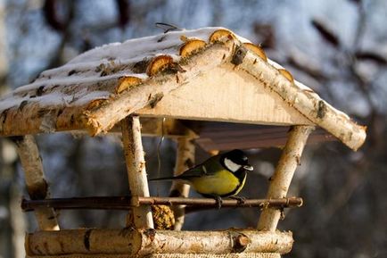 Ce este un jgheab pentru hrana păsărilor