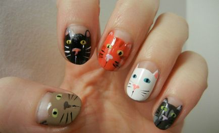 Bazându-se pe unghii cu pisici