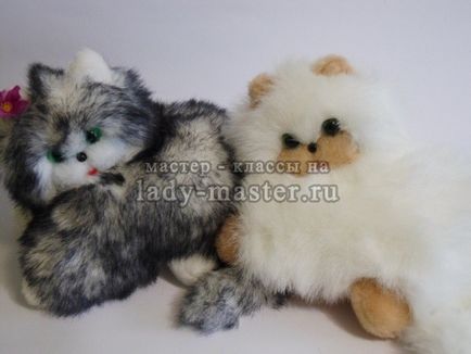 Cat jucărie moale cu propriile mâini Cat jucărie moale cu propriile mâini