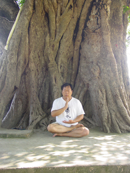 Despre Zhong Yuan Qigong