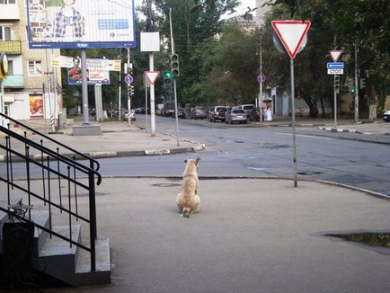 La ce oră de predare, mai degrabă decât vindecarea