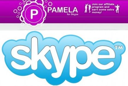 Pamela pentru skype plus față de bază pentru skype