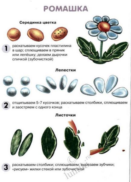 Cum sa faci o floare din plastilină