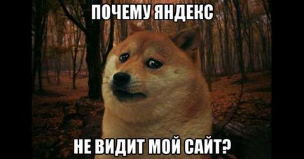 De ce nu pot vedea site-ul meu