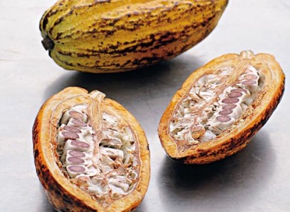 Care sunt beneficiile de cacao