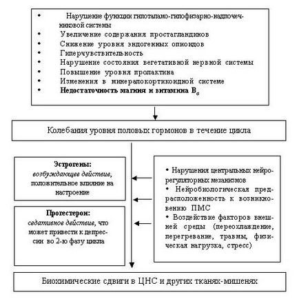 simptomele sindromului premenstrual, simptome, tratamentul sindromului premenstrual