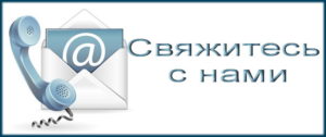 Cai în contact Cai în contact