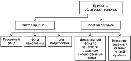 Distribuția profiturilor care este