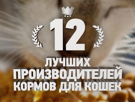 Clasament top alimentar 12 pisici - top 12
