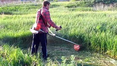 Cum de a alege un trimmer recenzii Cum de a alege un trimmer recenzii