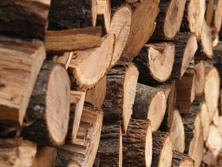 Woodcarving pentru începători și idei Masterclass