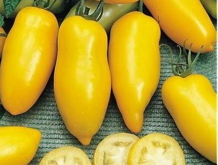 Grad de tomate galben Grad de tomate galben