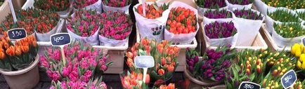 Sezonul de lalele din Olanda, ce să vezi, Amsterdam pe aer