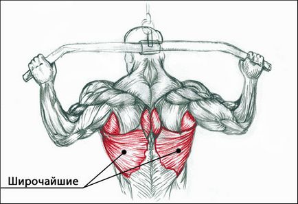 Cum de a construi musculare la domiciliu