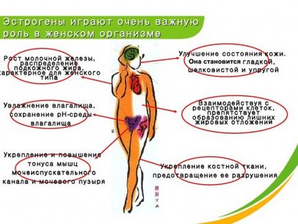 Simptomele lipsei de hormoni feminini la femei estrogen și progesteron