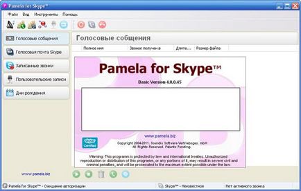 Pamela pentru Skype ea