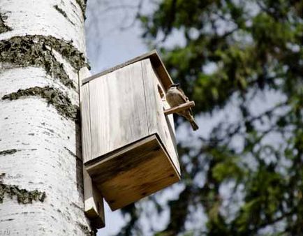 Birdhouse cu desenul lor mâini Birdhouse cu desenul lor mâini