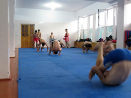 Cum de a dezvolta aparatul vestibular Cum de a dezvolta aparatul vestibular