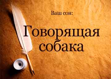 Interpretare vis câine vorbitor într-un vis pentru a vedea ce vise