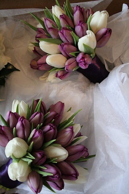 Buchet cu lalele Buchet cu lalele
