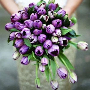 Buchet cu lalele Buchet cu lalele