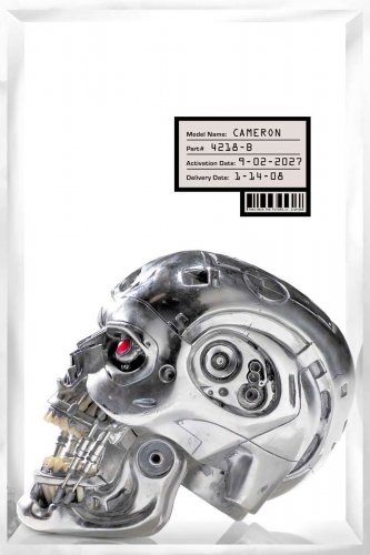 Terminator ce este Terminator ce este