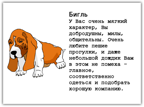 Testul despre rasa de câine Testul despre rasa de câine