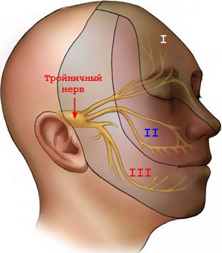 remedii populare trigemen tratament nervoase