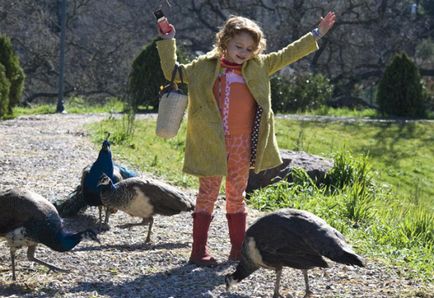 18 cele mai bune filme despre prietenia oamenilor și a animalelor