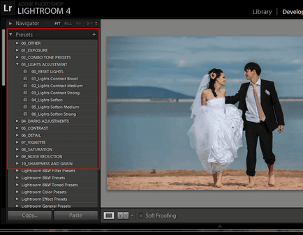 92 presetari pentru lightroom din Evgeniya Kartashova