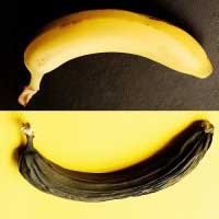Coaja de banana ca îngrășământ - de ce nu aruncați coaja