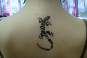 Bio-henna tatuaj ce este - 44 fotografii