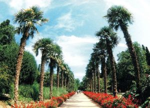 Grădina Botanică din Crimeea