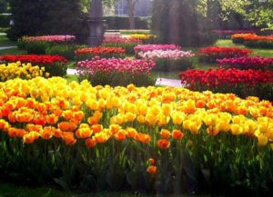 Grădina Botanică din Crimeea