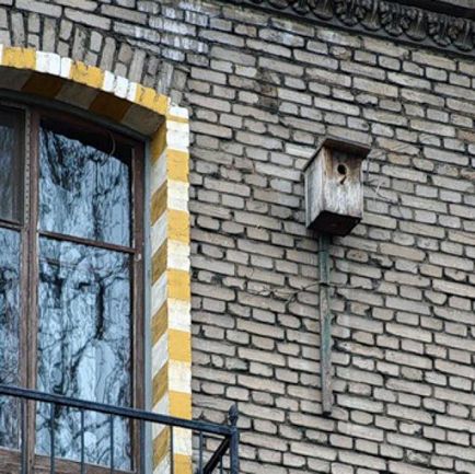 Ce fac păsările (recomandări referitoare la cum să agățați Birdhouse) - Masters Fair - lucru manual (să stea Birdhouse) Ce fac păsările (recomandări referitoare la cum să agățați Birdhouse) - Masters Fair - lucrate manual,