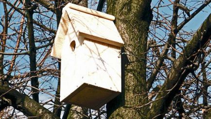 Ce fac păsările (recomandări referitoare la cum să agățați Birdhouse) - Masters Fair - lucrate manual,