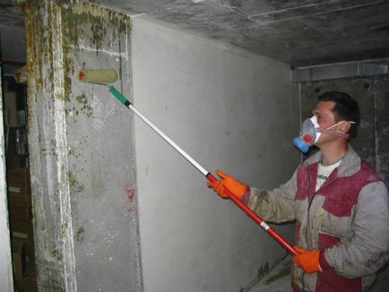 Pereții Manipulați de mucegai și a mucegaiului în apartament sau o casă de țară