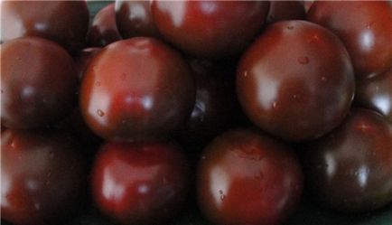 tomate negre - grad, descriere, cultivarea cu propriile lor mâini