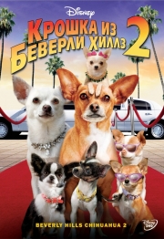 Filme despre câini viziona online gratuite