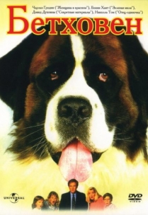 Filme despre câini viziona online gratuite
