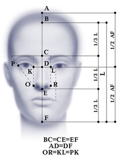 Forme și proporții ale feței, cum de a determina forma fetei
