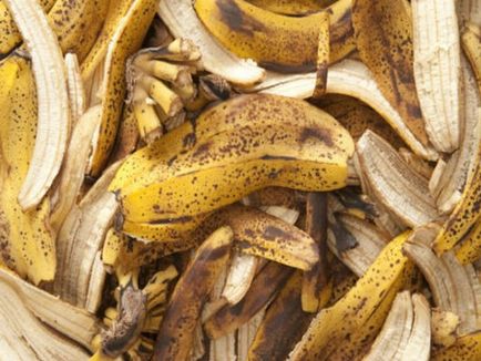 îngrășământ de calitate pentru răsaduri de piei de banane