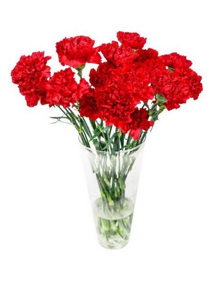 Ce fel de flori pentru a cumpăra pentru înmormântare, șapte Rusă